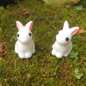 Mini Rabbit